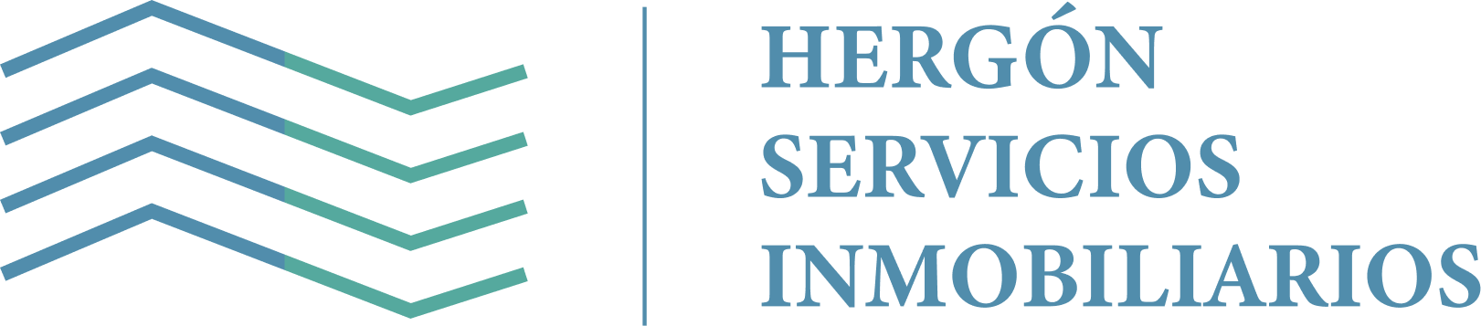 HERGON SABPA DE INVERSIONES SL